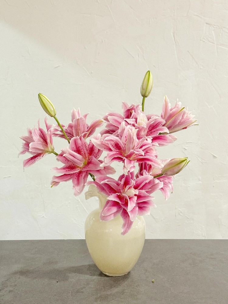 Soft mornings, bold blooms