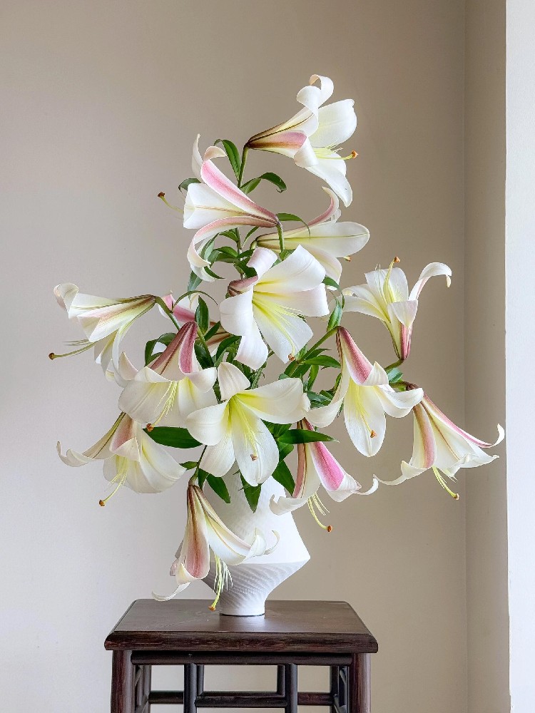 Oriental Lily in White Ceramic Vase